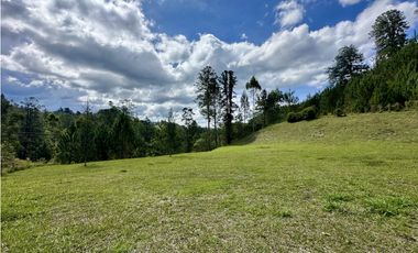 Venta De Lote En El Retiro