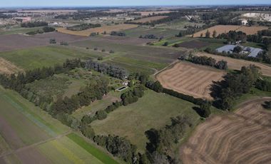 Campo en Batan apto desarrollo agroindustrial