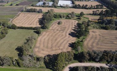 Campo en Batan apto desarrollo agroindustrial