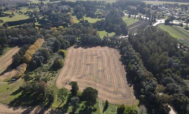Campo en Batan apto desarrollo agroindustrial