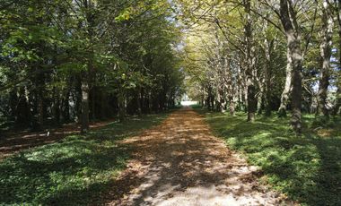 Campo en Batan apto desarrollo agroindustrial