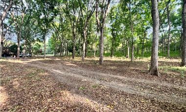 FINCA / GORGONA / 5 HECTAREA / INTERAMERICANA PRINCIPAL / CERCA AL MAR