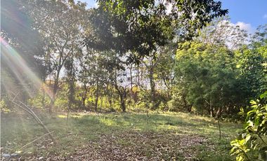 FINCA / GORGONA / 5 HECTAREA / INTERAMERICANA PRINCIPAL / CERCA AL MAR