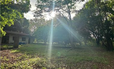 FINCA / GORGONA / 5 HECTAREA / INTERAMERICANA PRINCIPAL / CERCA AL MAR