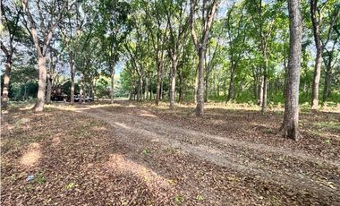 FINCA / GORGONA / 5 HECTAREA / INTERAMERICANA PRINCIPAL / CERCA AL MAR