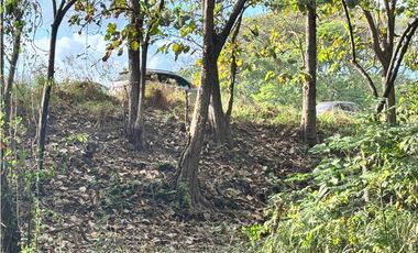 FINCA / GORGONA / 5 HECTAREA / INTERAMERICANA PRINCIPAL / CERCA AL MAR