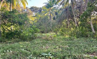 FINCA / GORGONA / 5 HECTAREA / INTERAMERICANA PRINCIPAL / CERCA AL MAR