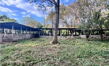 FINCA / GORGONA / 5 HECTAREA / INTERAMERICANA PRINCIPAL / CERCA AL MAR