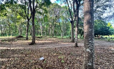 FINCA / GORGONA / 5 HECTAREA / INTERAMERICANA PRINCIPAL / CERCA AL MAR