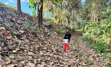 FINCA / GORGONA / 5 HECTAREA / INTERAMERICANA PRINCIPAL / CERCA AL MAR