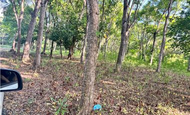 FINCA / GORGONA / 5 HECTAREA / INTERAMERICANA PRINCIPAL / CERCA AL MAR