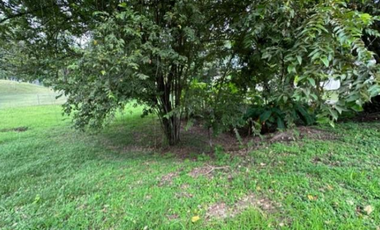 SAN CARLOS / COSTA ESMERALDA / 2960M / TERRENO / PLAYA / AG