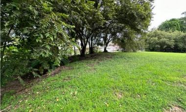 SAN CARLOS / COSTA ESMERALDA / 2960M / TERRENO / PLAYA / AG