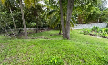 SAN CARLOS / COSTA ESMERALDA / 2960M / TERRENO / PLAYA / AG