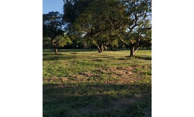 CORONADO / BOULEVARD / FINCA PLANA / 14 HECTREAS / 50.00 m2