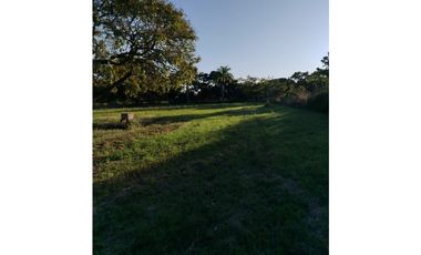CORONADO / BOULEVARD / FINCA PLANA / 14 HECTREAS / 50.00 m2