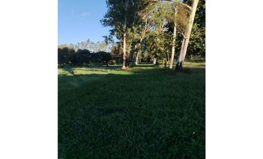 CORONADO / BOULEVARD / FINCA PLANA / 14 HECTREAS / 50.00 m2