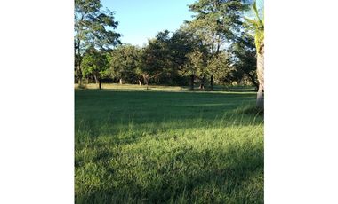 BOULEVARD / CORONADO / FINCA PLANA / 14 HECTREAS / 50.00 m2