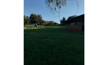 BOULEVARD / CORONADO / FINCA PLANA / 14 HECTREAS / 50.00 m2