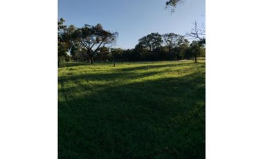 BOULEVARD / CORONADO / FINCA PLANA / 14 HECTREAS / 50.00 m2