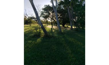 BOULEVARD / CORONADO / FINCA PLANA / 14 HECTREAS / 50.00 m2
