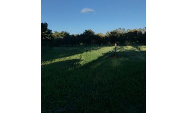 BOULEVARD / CORONADO / FINCA PLANA / 14 HECTREAS / 50.00 m2