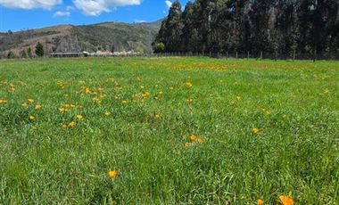 Parcela en Venta en SECTOR SAN RAMON KM 5, CAMIN0 NUEVA ALDEA, QUILLON