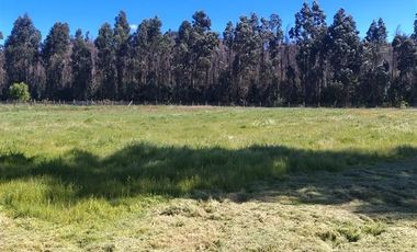 Parcela en Venta en SECTOR SAN RAMON KM 5, CAMIN0 NUEVA ALDEA, QUILLON