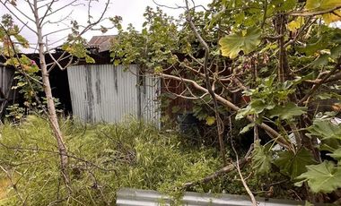 Sitio en Venta en Calle 8. 1/2 sur 1731-1781