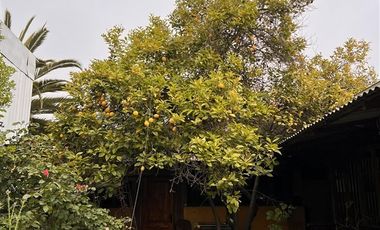 Sitio en Venta en Calle 8. 1/2 sur 1731-1781