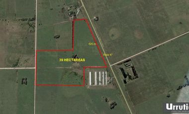 Sobre Ruta 47, 39 has.