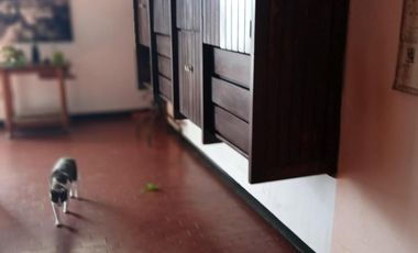 Casa en venta - 3 Dormitorios 2 Baños - Pirovano