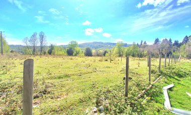PANGUIPULLI VENTA DE LOTES SECTOR LOS TAYOS