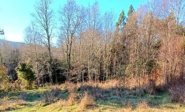 PANGUIPULLI VENTA DE LOTES SECTOR LOS TAYOS