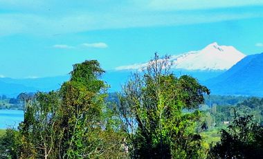PANGUIPULLI VENTA DE LOTES SECTOR LOS TAYOS