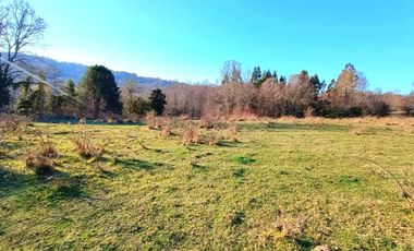 PANGUIPULLI VENTA DE LOTES SECTOR LOS TAYOS