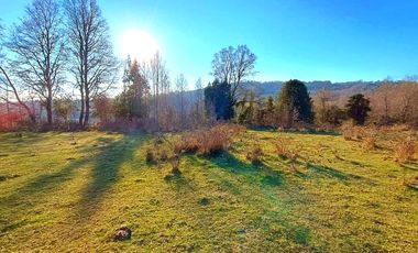 PANGUIPULLI VENTA DE LOTES SECTOR LOS TAYOS