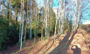 PANGUIPULLI VENTA DE LOTES SECTOR LOS TAYOS