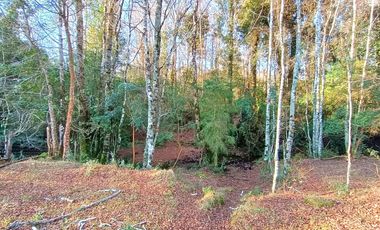 PANGUIPULLI VENTA DE LOTES SECTOR LOS TAYOS