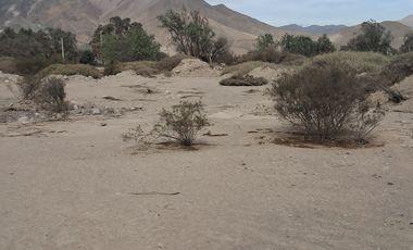 TERRENO IDEAL PARA NEGOCIOS E INVERSIONES