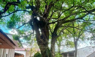 VENTA de CASA COMERCIAL en NEIVA