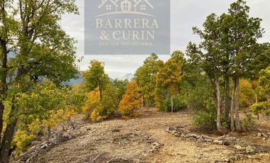 Hermosa Parcela en Venta – 10.475 m² en  Potrero Grande - Longaví