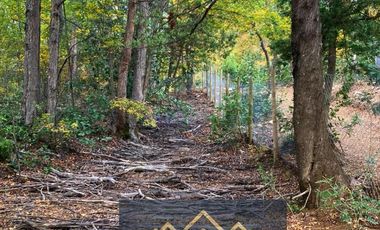 Hermosa Parcela en Venta – 10.475 m² en  Potrero Grande - Longaví