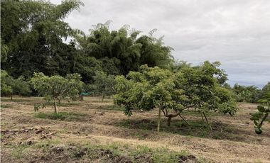 FINCA PLANA VENDO
