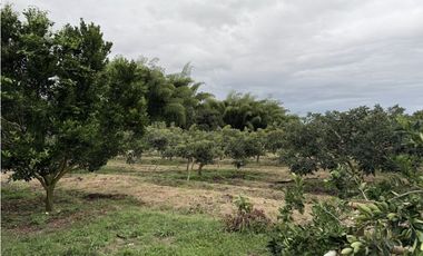 FINCA PLANA VENDO