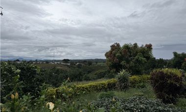 FINCA PLANA VENDO