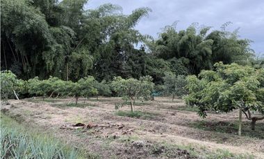 FINCA PLANA VENDO