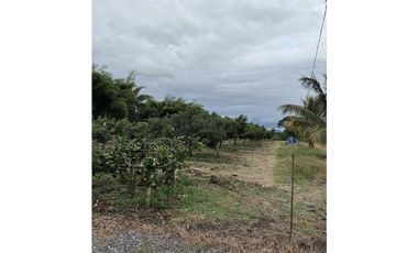 FINCA PLANA VENDO