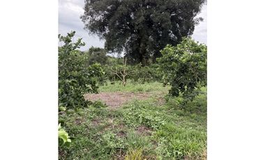 FINCA PLANA VENDO