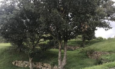 Terreno en venta en El Río Country Club